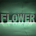 EPL FLOWER Green, LED 3G Sparkling Sign, Eye-Catching, Super Bright, 6"x30", Remote Control & Floral Business decor, Storefront display