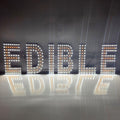 EPL EDIBLE Yellow, LED 3G Sparkling Sign, Eye-Catching, Super Bright, 8"x30", Remote, Business decor, Storefront display, Restaurant signage